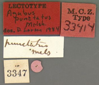 Media type: image;   Entomology 33414 Aspect: labels